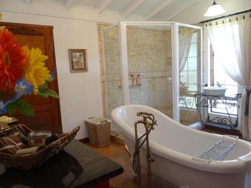 a bathroom with a tub and a walk in shower at Art Gallery Guest House in Haenertsburg
