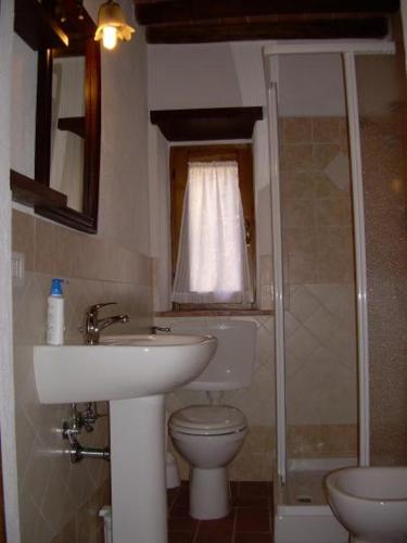 a bathroom with a sink and a toilet and a shower at Agriturismo Molino del Ponte in Arcidosso