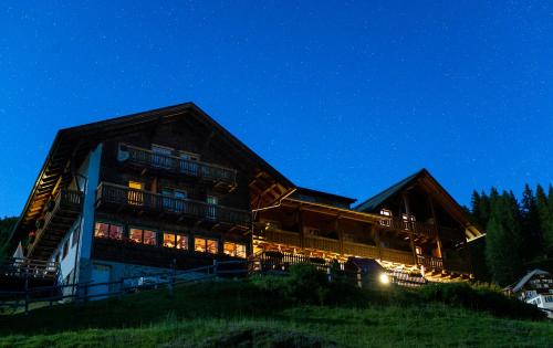 a large wooden house at night with the sky at Sattleggers Alpenhof & Feriensternwarte in Berg im Drautal