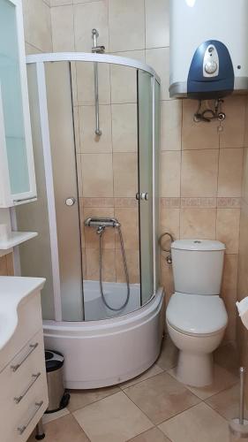a bathroom with a shower and a toilet in it at Apartmani Famelja Jovanovic in Sveti Stefan