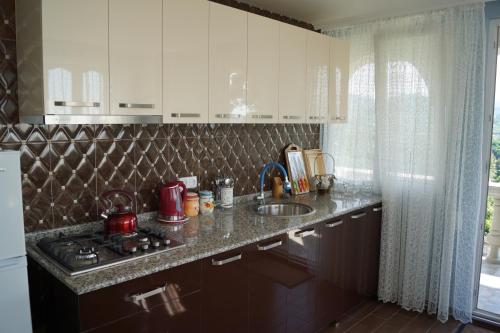 a kitchen with a sink and a counter top at AnaMaria in Batumi