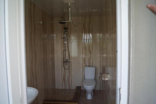a bathroom with a toilet and a shower at AnaMaria in Batumi