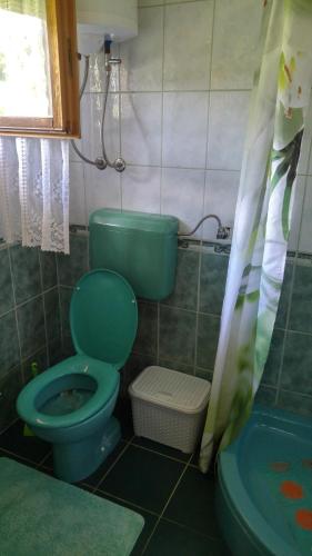 a bathroom with a green toilet and a tub at FortUNA Holiday Home in Bihać