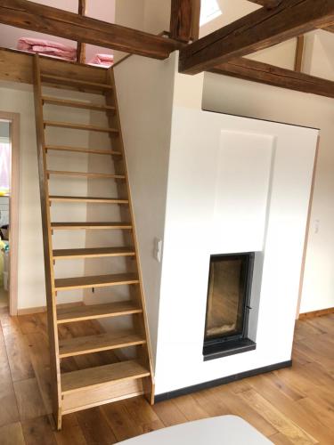 a ladder leading up to a living room with a fireplace at Casa Meloni in Bad Sachsa