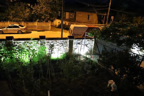 a car parked in a parking lot at night at Papazo in Kutaisi