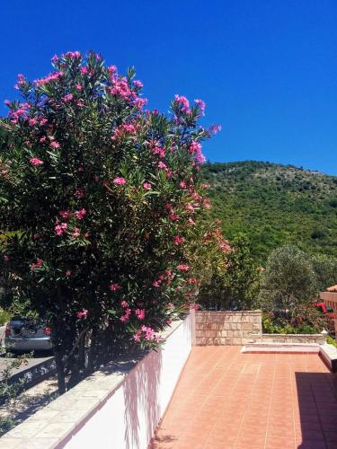 Apartments Anamaria