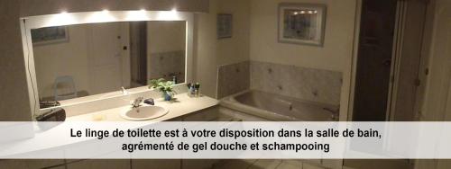 サン・マルタン・ブローニュにあるAu cèdre bleuのバスルーム(シンク、鏡、バスタブ付)