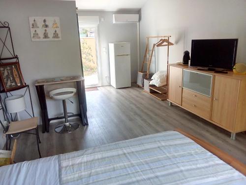 ein Schlafzimmer mit einem Bett und einem TV auf einer Kommode in der Unterkunft Casa Lucia in Saint-Maximin-la-Sainte-Baume