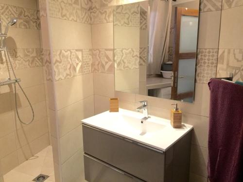 une salle de bain avec un lavabo et un miroir dans l'établissement Appartement rénové aux portes de St tropez, à Gassin