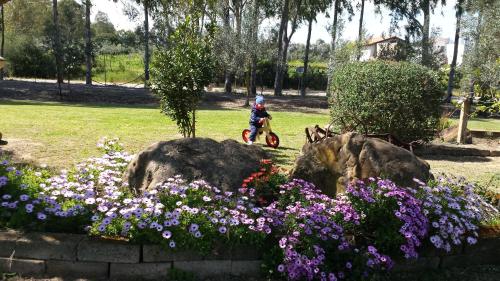 a person riding a bike in a park with flowers at Agriturismo Monte Majore in Siliqua