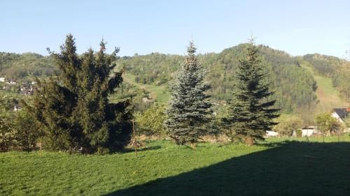 シュツァブニツァにあるApartament "Marzenie cepra"の高台の畑の木々