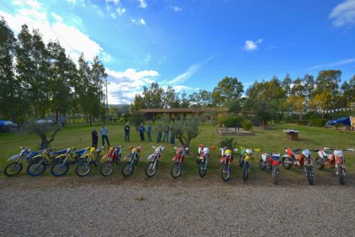 a row of bikes lined up in a row at Agriturismo Monte Majore in Siliqua