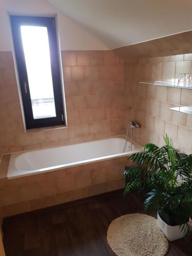 新伊欽的住宿－Penzion Lamberk，带浴缸、窗户和植物的浴室