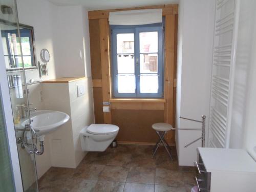 a bathroom with a toilet and a sink and a window at Urlaubsoase-Lindenhof in Pfaffendorf