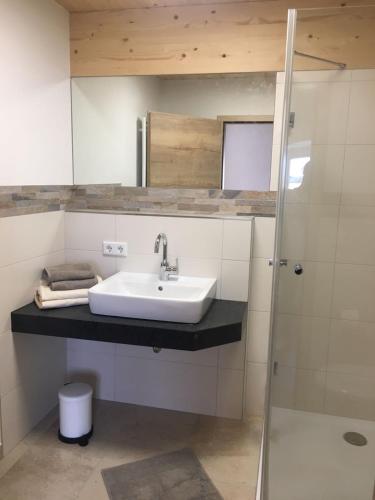 a bathroom with a sink and a mirror at Ferienwohnung zum Dorfwirt in Riedenburg