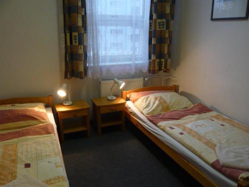 dwa łóżka w pokoju z oknem i dwoma stołami w obiekcie Hotel Hasa w Pradze