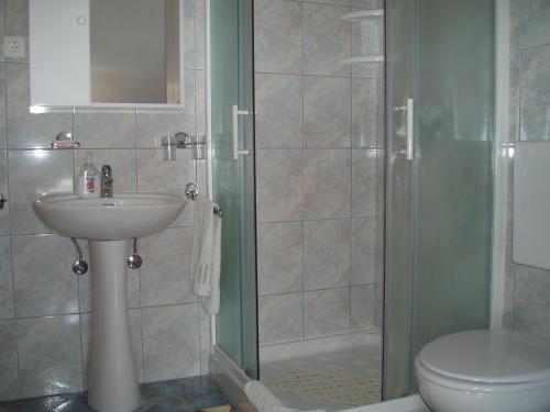 a bathroom with a shower and a sink and a toilet at Apartment Orbanić Cres in Cres