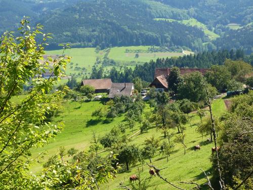 a green hillside with cows grazing in a field at Ferienhaus Eck in Unterharmersbach