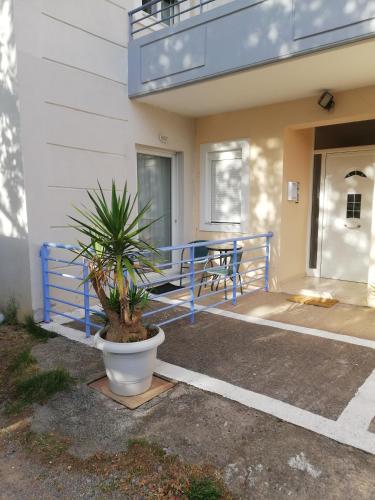 a house with a potted plant in front of it at Studios Theodore in Kalamata