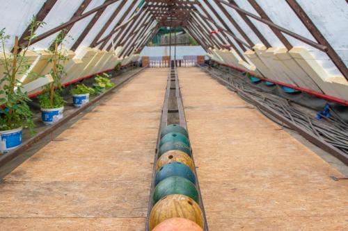a long pipe in a greenhouse with potted plants at Penzion Signum Laudis in Velké Hamry
