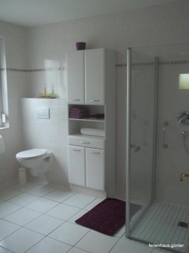 a white bathroom with a shower and a toilet at Ferienhaus Günter in Forchtenberg