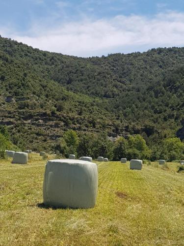 a group of hay bales sitting in a field at Casa "La Huerta" DE RODA DE ISABENA in Roda de Isábena