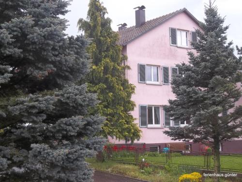 a pink house with trees in front of it at Ferienhaus Günter in Forchtenberg
