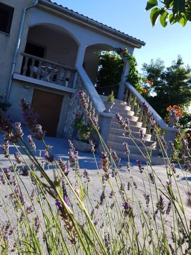 Maslina Apartment – Photos 2