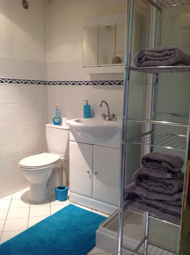 une salle de bain avec un lavabo et des toilettes dans l'établissement Grand studio, à La Roquette-sur-Siagne