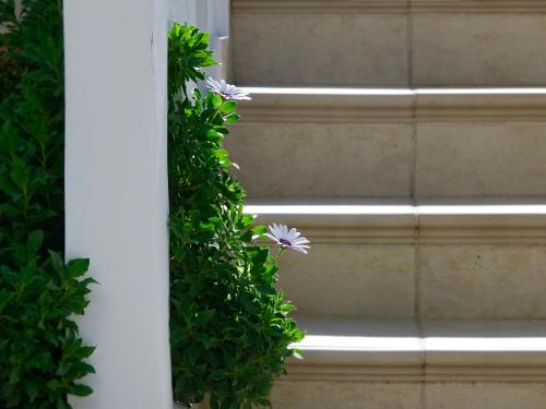 Φωτογραφία από το άλμπουμ του Flamingos Hotel Apartments  στο Κάτω Δαράτσο