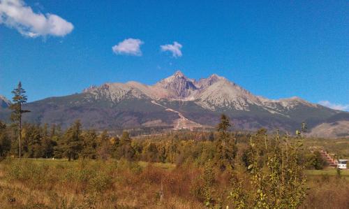 una montagna in lontananza con un campo e degli alberi di Vila Valéria a Tatranská Lomnica