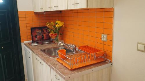 a kitchen sink with an orange tiled wall at Spiti Nikos in Danilia