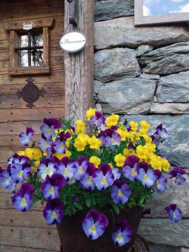a pot of flowers in front of a stone wall at CleMaison Antica Dimora Apartments CIR VDA GIGNOD 0013 in Gignod