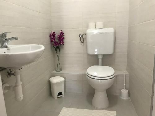 a bathroom with a toilet and a sink and flowers at Apartments Travel in Otočac