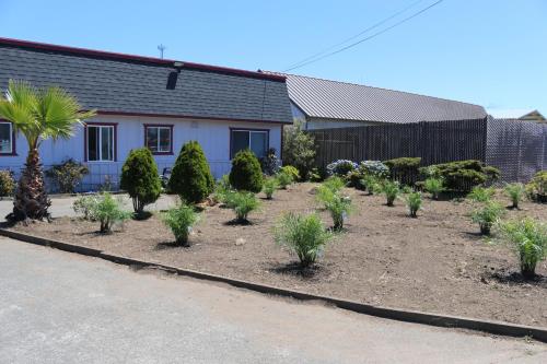 a garden of trees and bushes in front of a house at Westward Inn in Crescent City