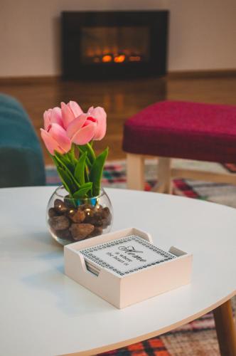 ブルチコにあるPenthouse Apartmentのギャラリーの写真