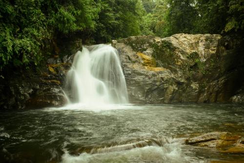a waterfall in the middle of a river at Sinharaja Forest Gate in Deniyaya