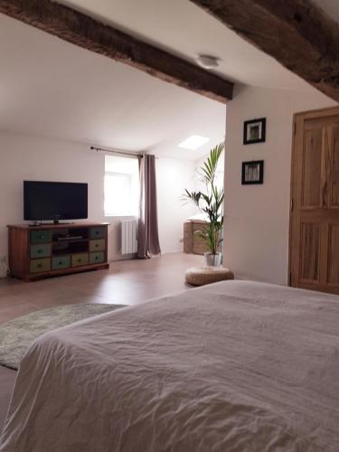 a bedroom with a large bed and a television at Chambres entre Ventoux et luberon in Sault-de-Vaucluse