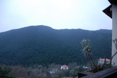 a view of a mountain with trees and houses at Villa Virginia Hotel in Karpenision