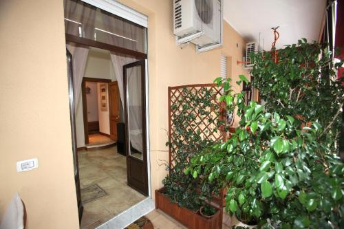 a hallway with a door and a large plant at B&B Milu' in Crotone