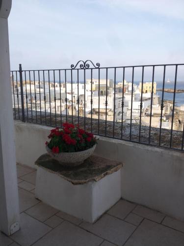 a vase of flowers sitting on a ledge with a view of the beach at Palazzo Senape De Pace in Gallipoli
