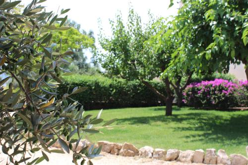 a garden with trees and pink flowers in the grass at Villa Narducci in Montalbano