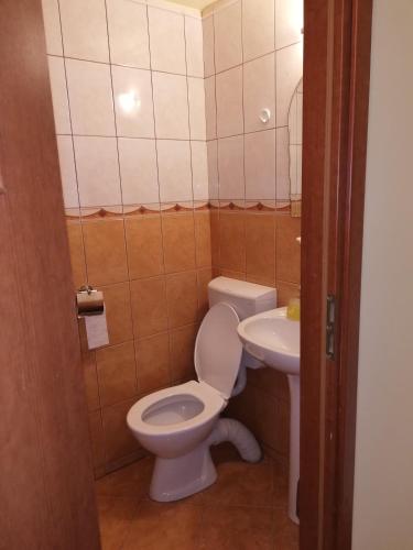 Bilik mandi di Cabana Ocna Mesaros