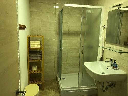 Salle de bains dans l'établissement Apartma Linhartov trg