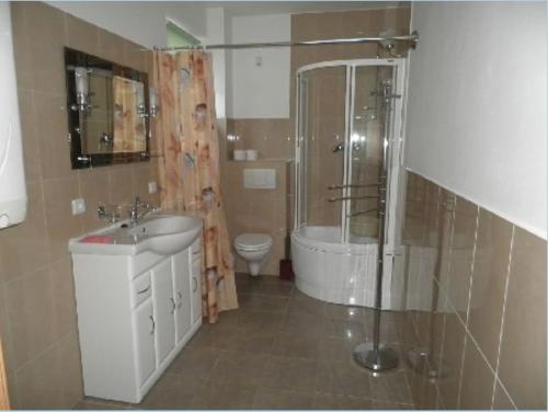 La salle de bains est pourvue d'un lavabo, d'une douche et de toilettes. dans l'établissement Apartamenty Beata Wisełka, à Wisełka