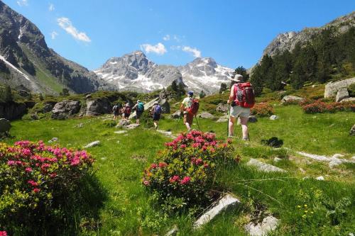 a group of people walking on a mountain with flowers at Gîte La Maisonnée in Sazos