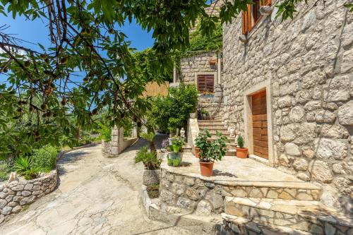 Summer Cottage – Photos 5