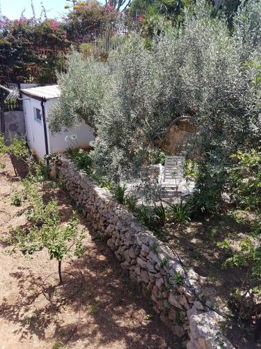 a garden with olive trees and a stone wall at Suite Panoramic in Porticello