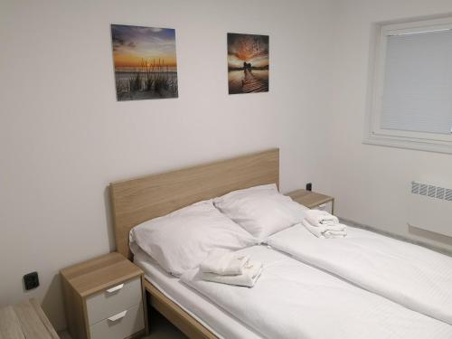 デシュトネー・フ・オルリツキーフ・ホラーフにあるVila Mariannaの壁に2枚の写真が飾られた部屋のベッド1台分です。