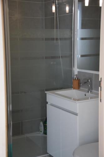 a bathroom with a sink and a shower at Joli Studio Plein Centre de Milly la Forêt in Milly-la-Forêt